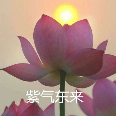 勇者传说2暗黑崛起完整版下载